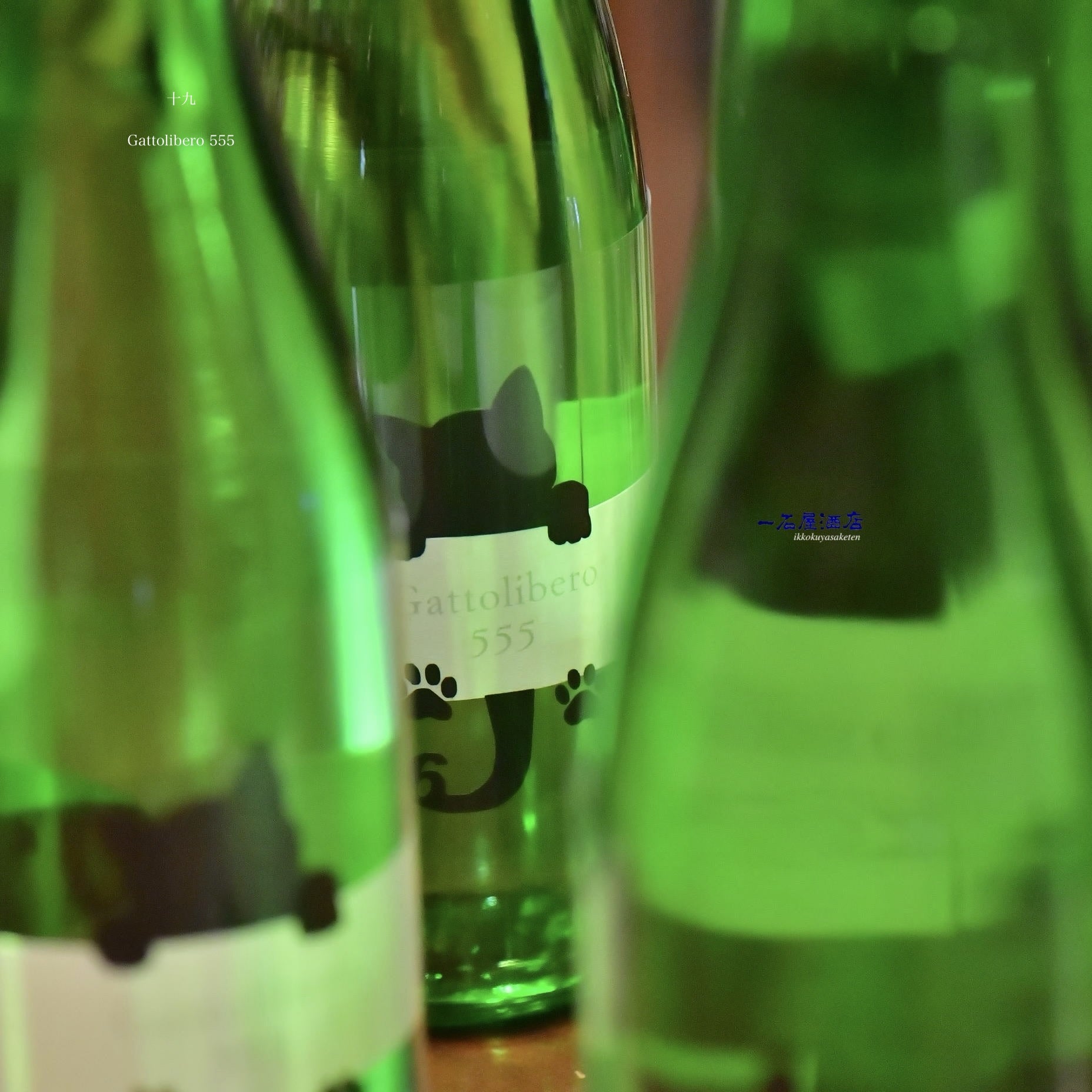 thry　酒 Buy Haseen Lalla Shikari No.1 9 Cord Panda | 3 Reel Manjha