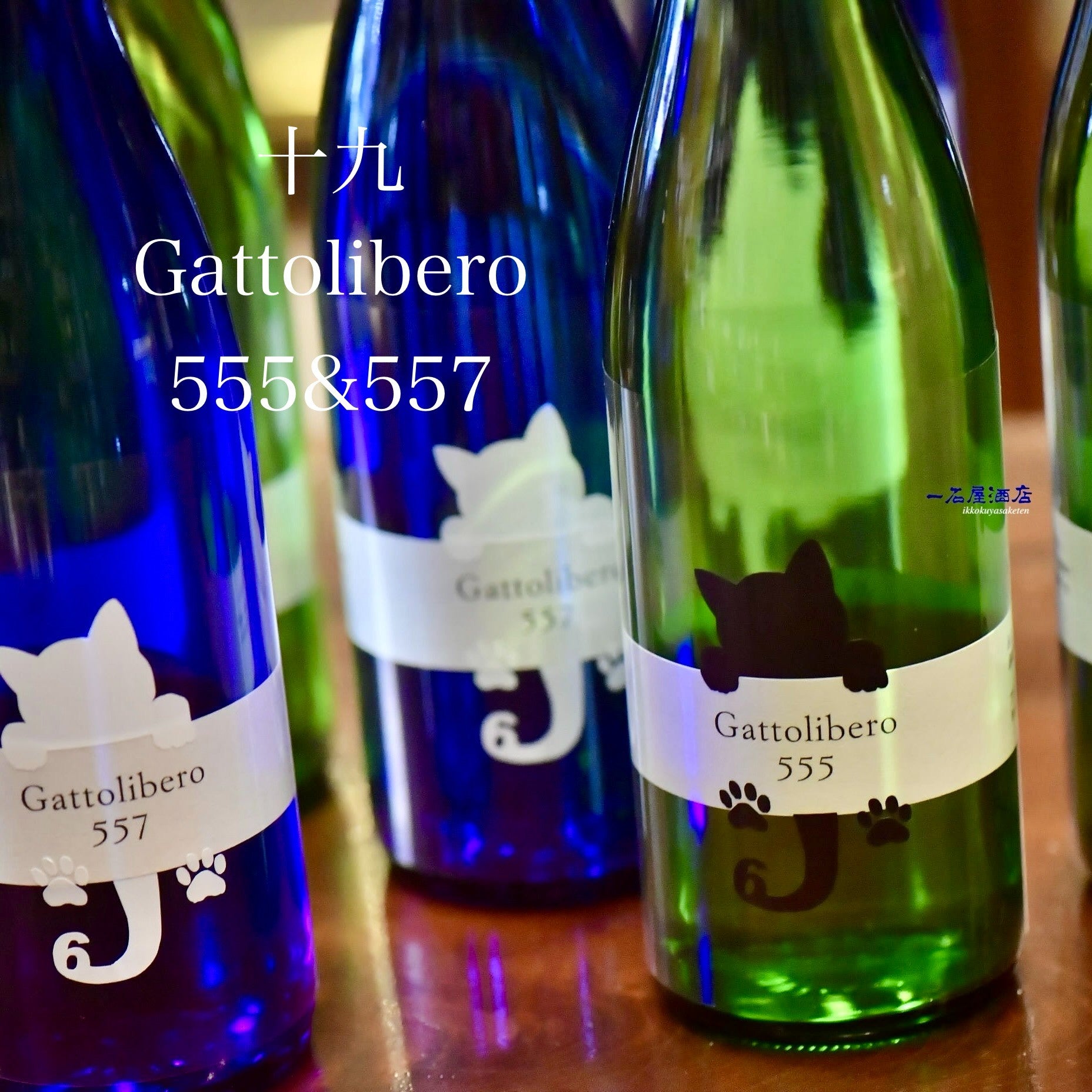 長野のお酒 十九 Gattolibero6 555 黒猫 | 日本酒と焼酎 横浜一石屋酒店