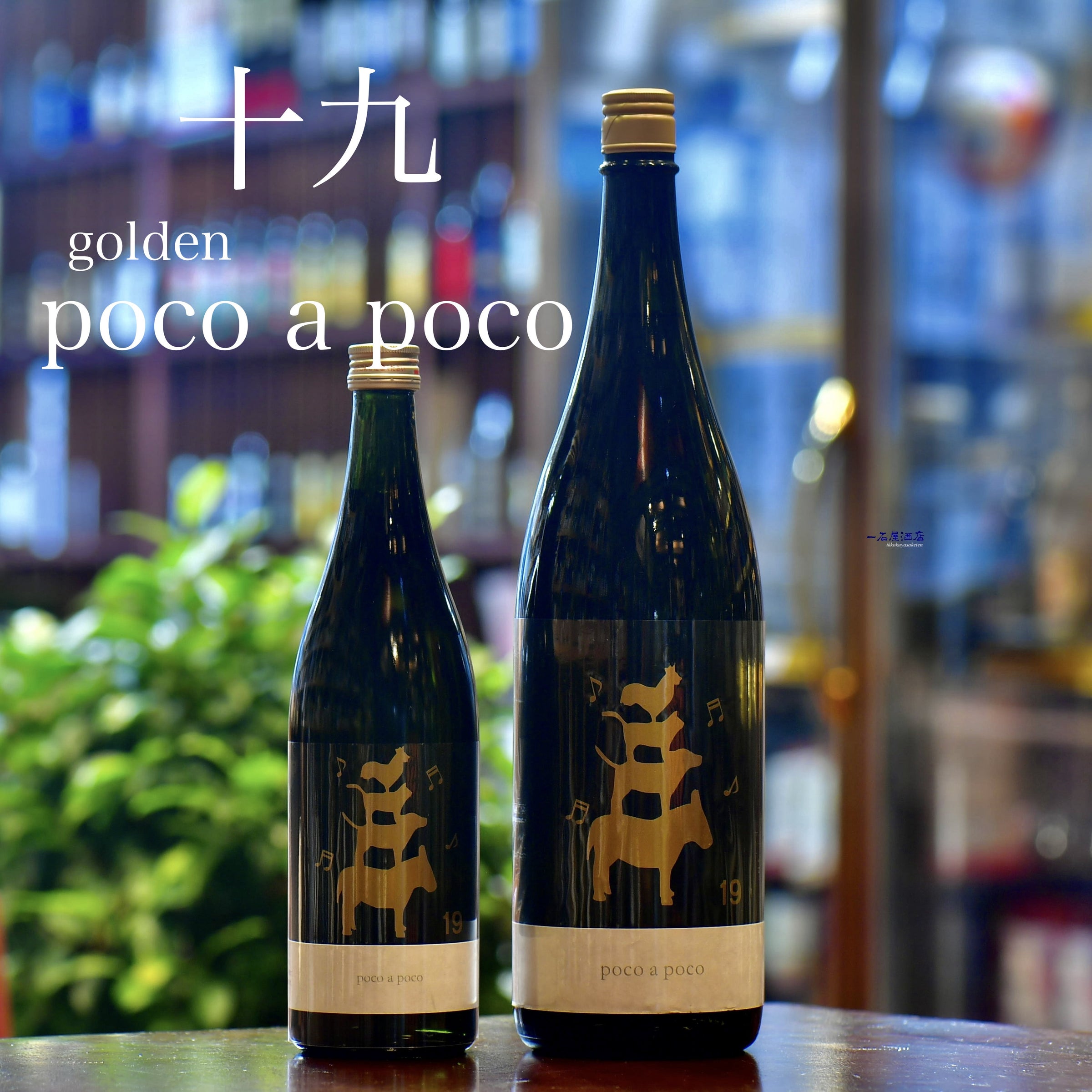 長野の日本酒 十九 | 日本酒と焼酎 横浜一石屋酒店