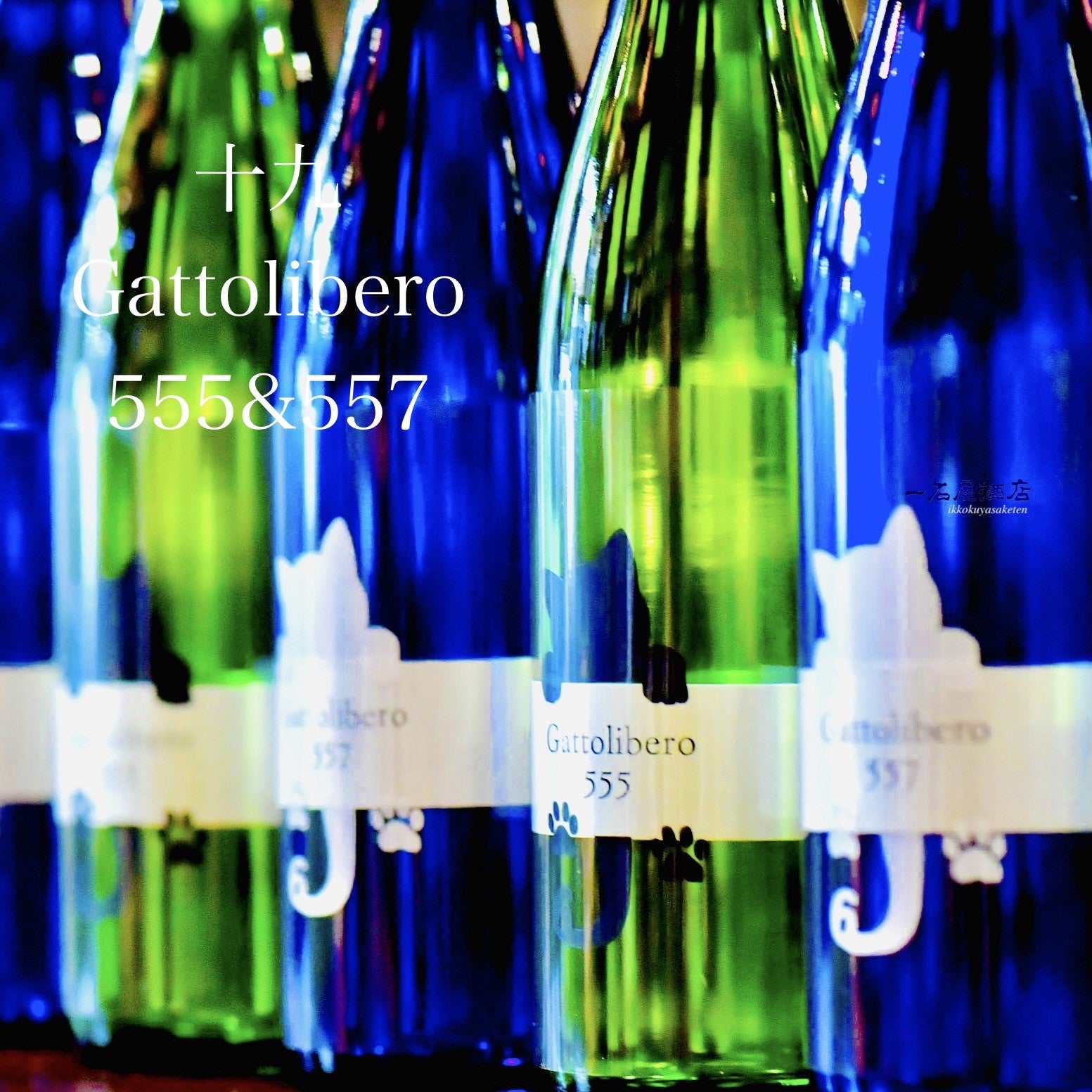 長野のお酒 十九 Gattolibero6 557 白猫 | 日本酒と焼酎 横浜一石屋酒店