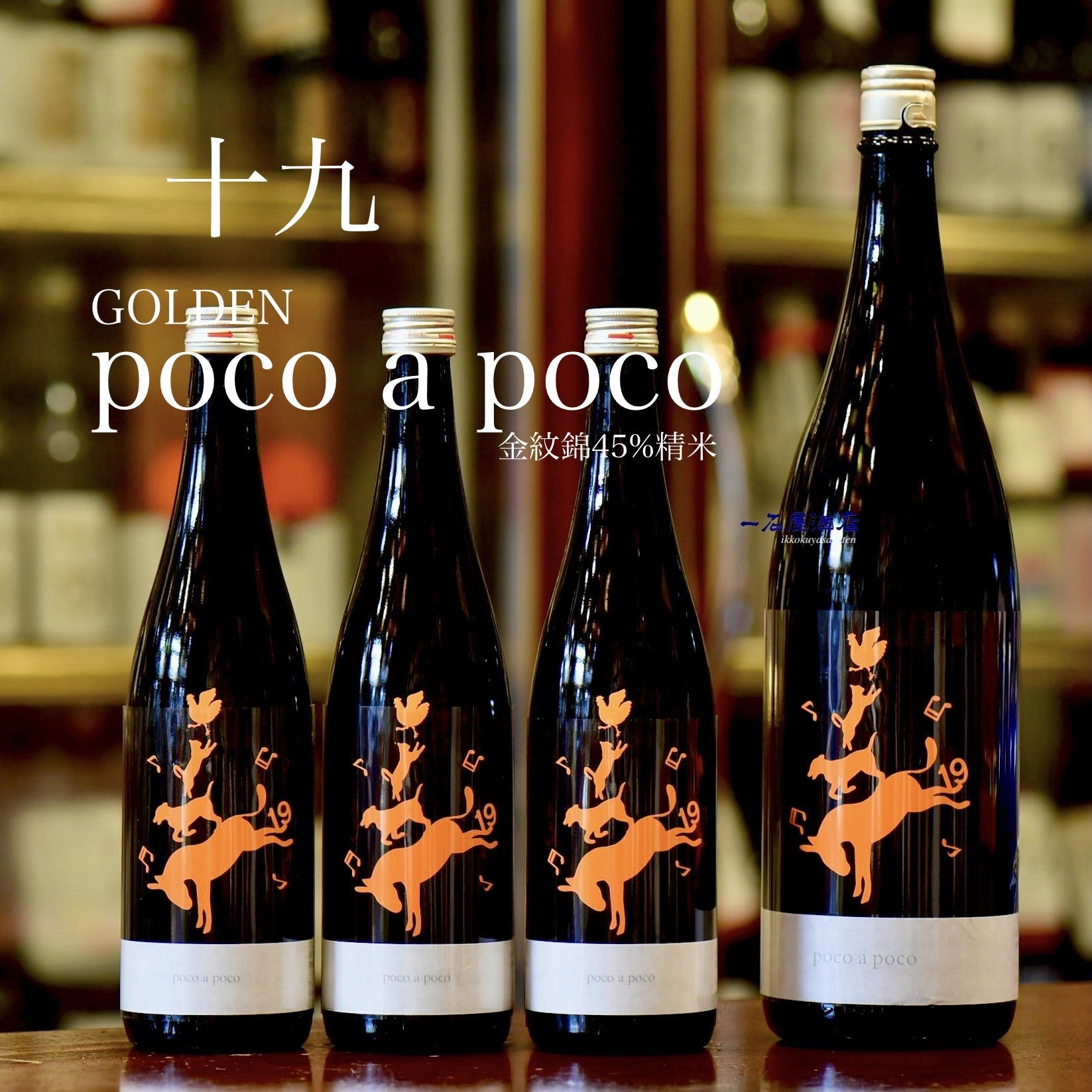 長野の日本酒 十九 golden poco a poco | 日本酒と焼酎 横浜一石屋酒店
