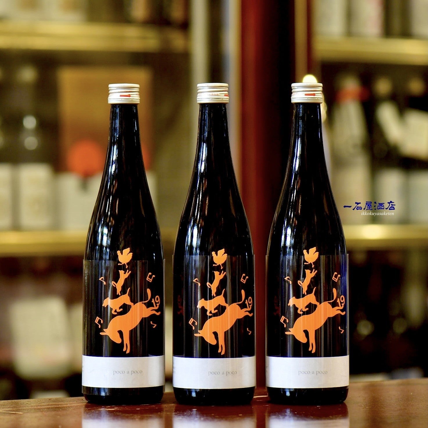 長野の日本酒 十九 golden poco a poco | 日本酒と焼酎 横浜一石屋酒店