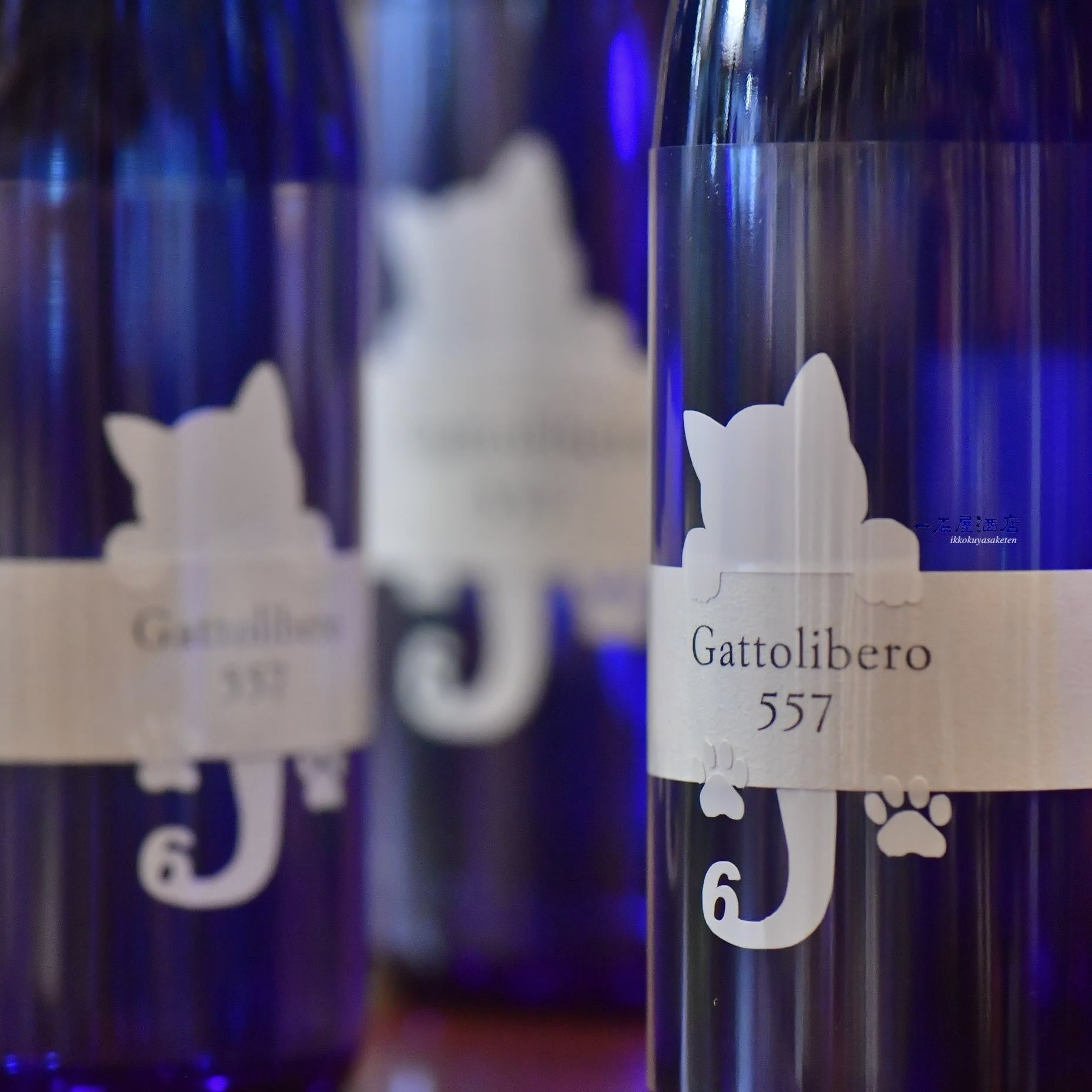 長野のお酒 十九 Gattolibero6 557 白猫 | 日本酒と焼酎 横浜一石屋酒店