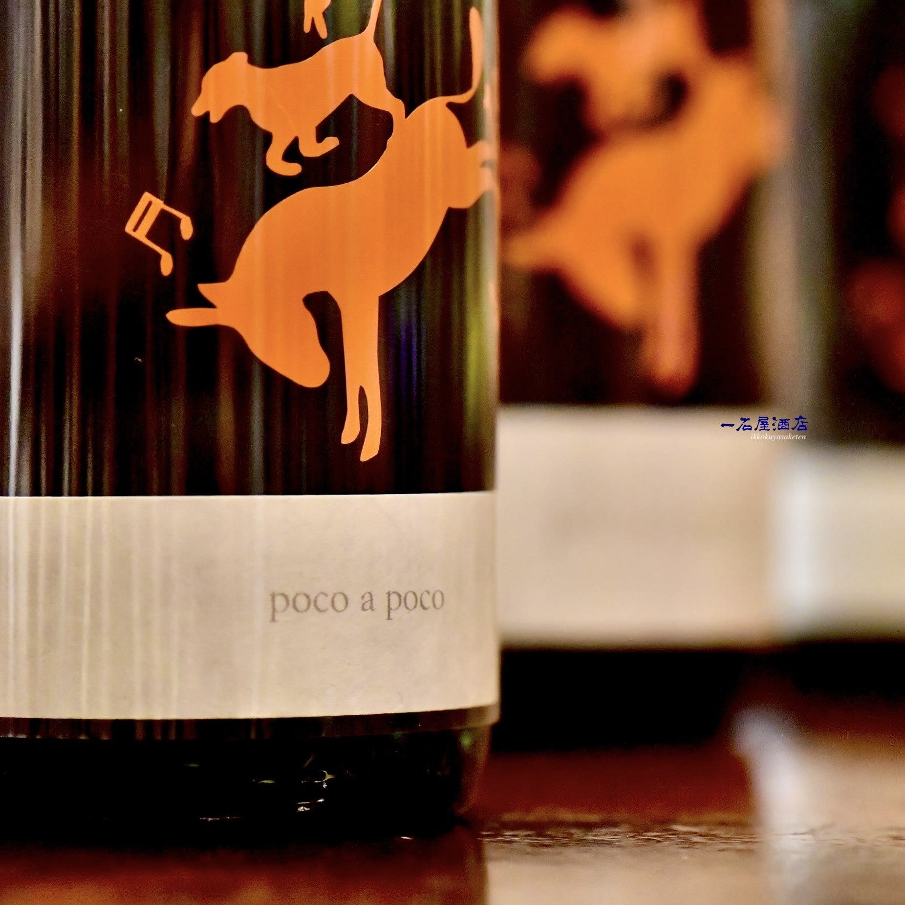長野の日本酒 十九 golden poco a poco | 日本酒と焼酎 横浜一石屋酒店